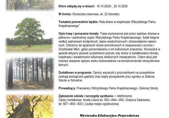 Grafika 1: Dzień Krajobrazu "Rola drzew w Krajobrazie Wdzydzkiego Parku Krajobrazowego