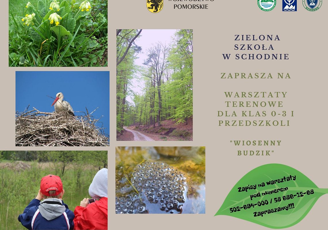 Grafika 1: Warsztaty "Wiosenny budzik"
