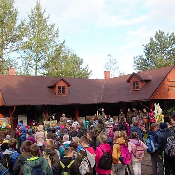 Grafika Piknik "Czas na grzyby" - Śmieci nie dla lasu