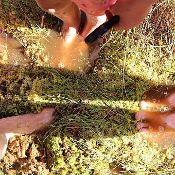 Wakacje w Zielonej Szkole w Schodnie Grafika Wakacje w Zielonej Szkole w Schodnie