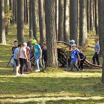 Zielone lekcje Grafika Zielone lekcje
