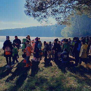 Grafika Piknik "Czas na grzyby!" 2025