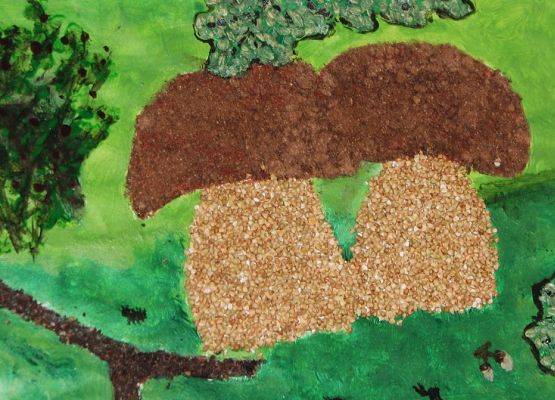 Grafika 4: Rozstrzygnięcie konkursu plastycznego "Życie grzybów z drzewami"