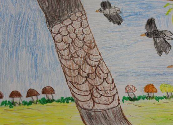 Grafika 32: Rozstrzygnięcie konkursu plastycznego "Życie grzybów z drzewami"
