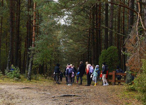 Omawiane spotkanych gatunków grzybów w terenie fot. M. Greinke