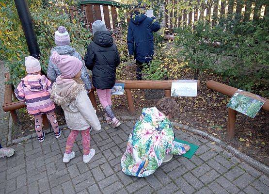 Poznawanie gatunków ginących wskutek zmian klimatu