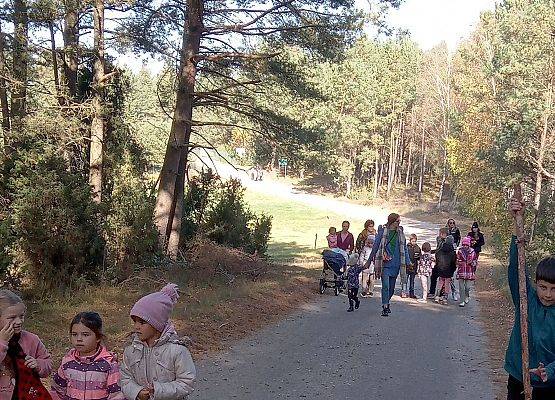 Badamy składniki klimatu w lesie, na łące, na polu i na torfowisku