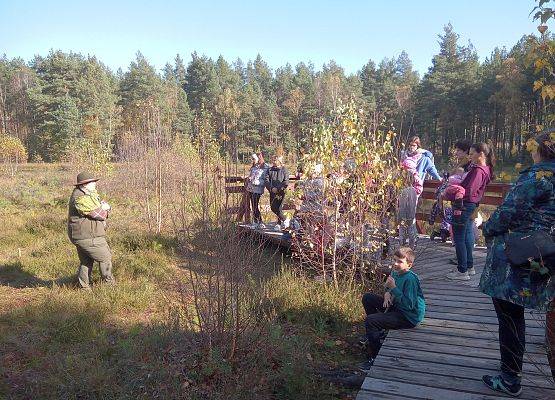 Grafika Warsztaty dla rodzin "Mój klimatyczny dom"