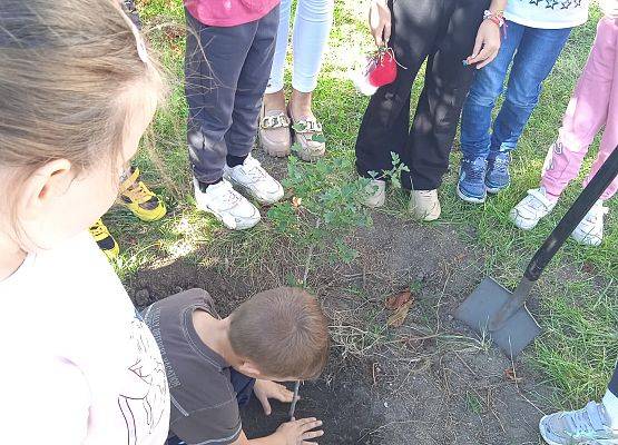 Grafika 15: Akcja edukacyjna "Wędrówki ptaków"