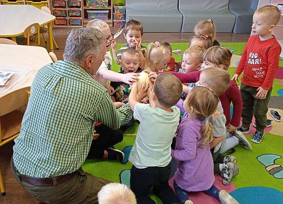 Grafika Akcja edukacyjna "Wędrówki ptaków"