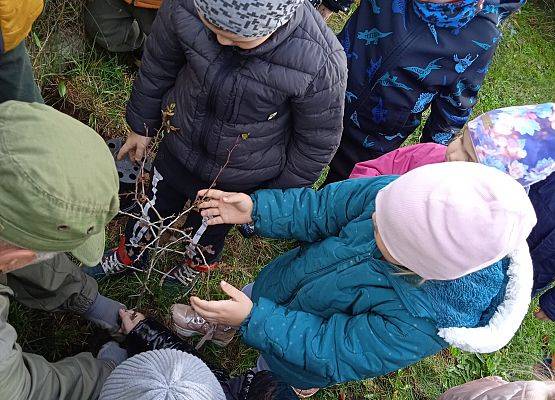 Grafika Akcja edukacyjna "Wędrówki ptaków"