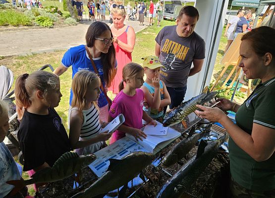 II Festiwal jezior Grafika II Festiwal jezior