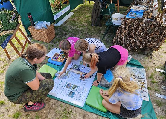 II Festiwal jezior Grafika II Festiwal jezior