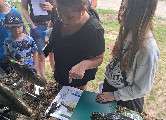 II Festiwal jezior Grafika II Festiwal jezior