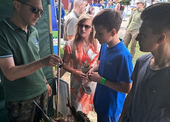 II Festiwal jezior Grafika II Festiwal jezior