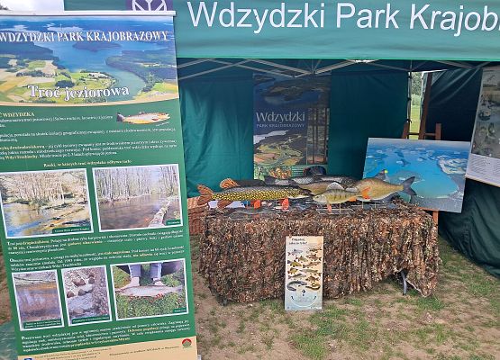 II Festiwal jezior Grafika II Festiwal jezior