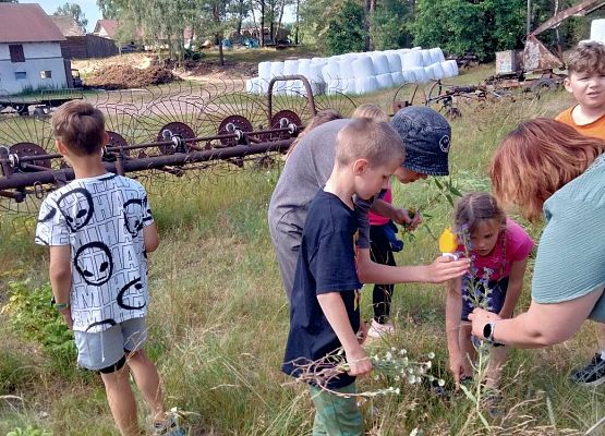 Grafika Wakacje w Schodnie 2025
