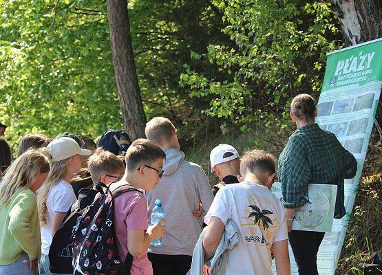 Grupa dzieci uczy się rozpoznawać płazy z pomocą instruktora, a następnie rozpoznaje gatunki w terenie Grupa dzieci uczy się rozpoznawać płazy z pomocą instruktora, a następnie rozpoznaje gatunki w terenie