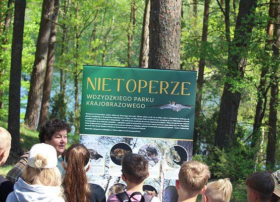 Jakie gatunki nietoperzy spotkamy we Wdzydzkim PK ? Grupa dzieci w środku lasu poznaje różne gatunki nietoperzy, o których opowiada pracownik Wdzydzkiego Parku