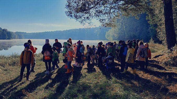 Piknik "Czas na grzyby!" 2025 Grafika Piknik "Czas na grzyby!" 2025