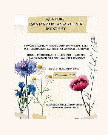 Łąka jak z obrazka – zielnik rodzinny Grafika Łąka jak z obrazka – zielnik rodzinny